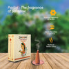 DHOOPA by ORBAN Deluxe Incense Cone | Organic & Charcoal-Free | Enhances Focus & Calm | Parijaat Fragrance | with Stand and Bookmark