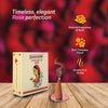 DHOOPA by ORBAN Deluxe Incense Cone | Sustainable & Eco-Friendly | Create a Spiritual Ambience | Rose Fragrance | with Cone Stand & Bookmark